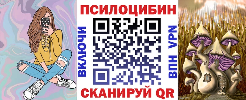 Псилоцибиновые грибы мицелий  Шебекино 